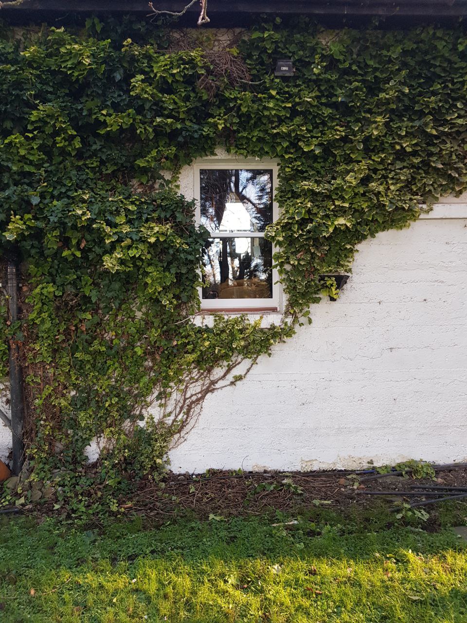 Huntstown House - Acoustic windows 